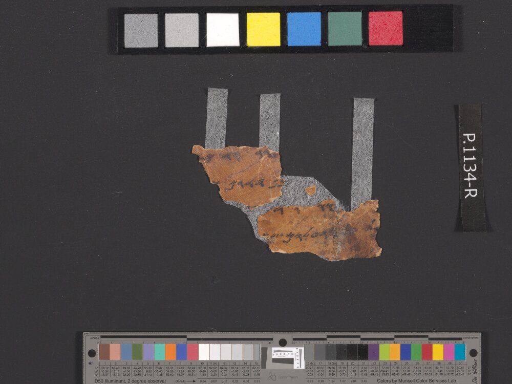 4QpaleoExodus m (Scan 6) showing Exodus 22:28 from Late Hasmonean Period (c. 100–25 BC) found in Qumran, Cave 4, currently housed at Rockefeller Museum, Jerusalem