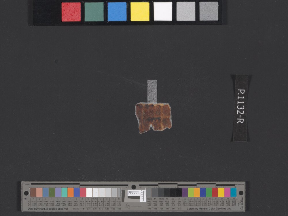4QpaleoExodus m (Scan 3) showing Exodus 23:32 from Late Hasmonean Period (c. 100–25 BC) found in Qumran, Cave 4, currently housed at Rockefeller Museum, Jerusalem