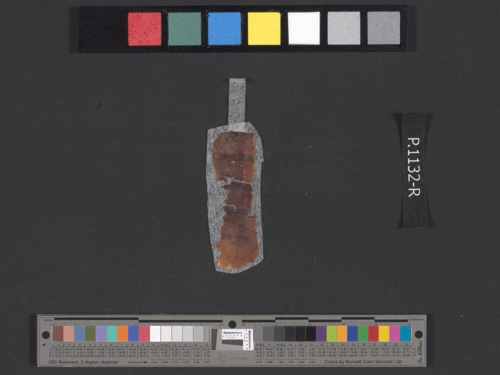 4QpaleoExodus m (Scan 6) showing Exodus 23:32 from Late Hasmonean Period (c. 100–25 BC) found in Qumran, Cave 4, currently housed at Rockefeller Museum, Jerusalem