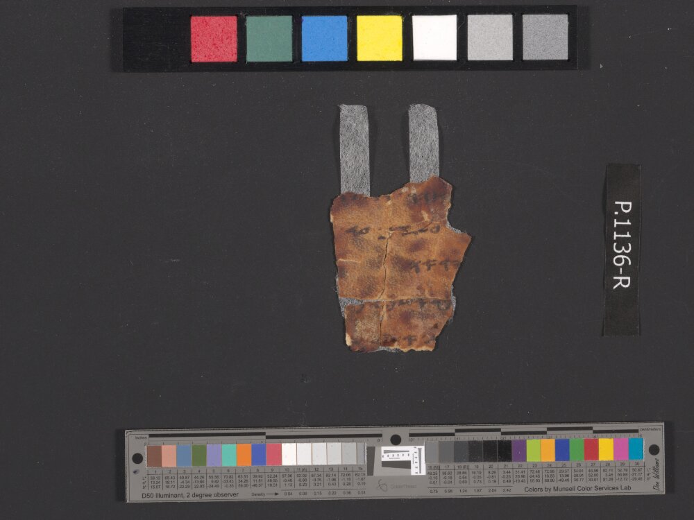 4QpaleoExodus m (Scan 2) showing Exodus 25:22 from Late Hasmonean Period (c. 100–25 BC) found in Qumran, Cave 4, currently housed at Rockefeller Museum, Jerusalem