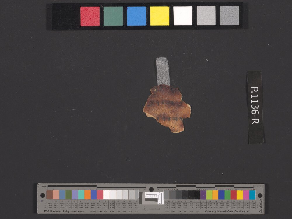 4QpaleoExodus m (Scan 4) showing Exodus 25:22 from Late Hasmonean Period (c. 100–25 BC) found in Qumran, Cave 4, currently housed at Rockefeller Museum, Jerusalem
