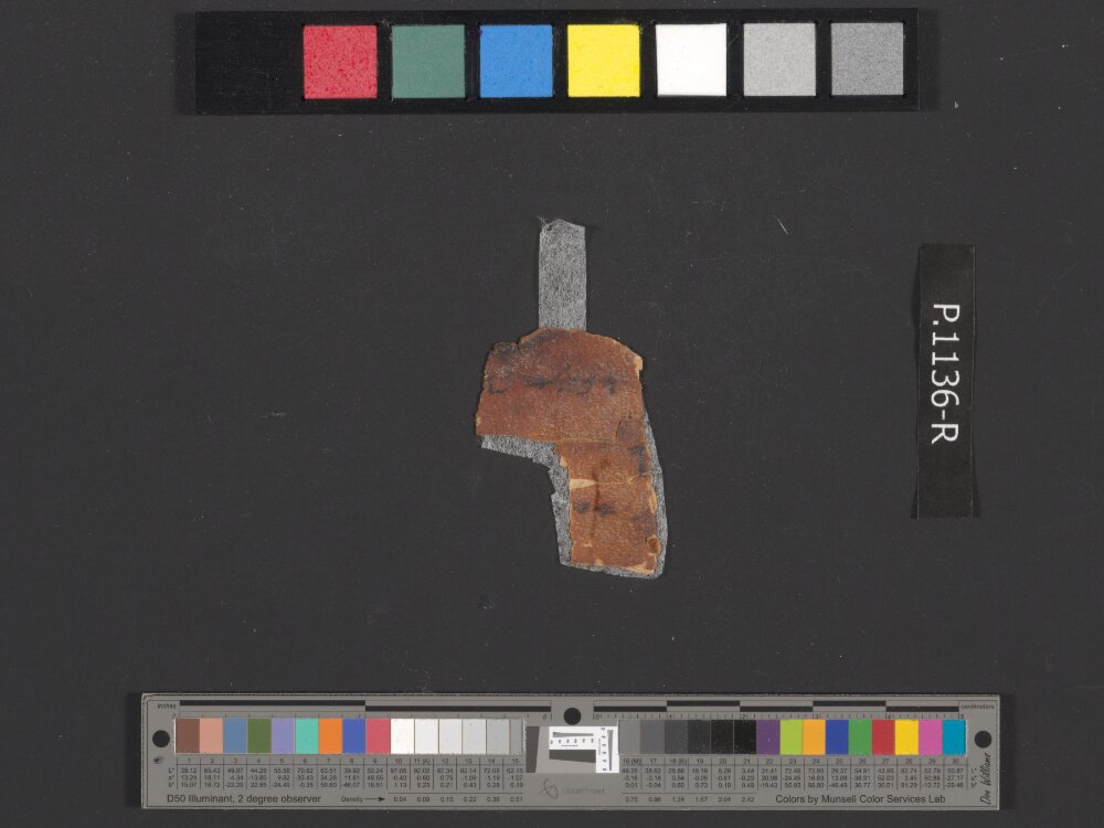 4QpaleoExodus m (Scan 5) showing Exodus 25:22 from Late Hasmonean Period (c. 100–25 BC) found in Qumran, Cave 4, currently housed at Rockefeller Museum, Jerusalem