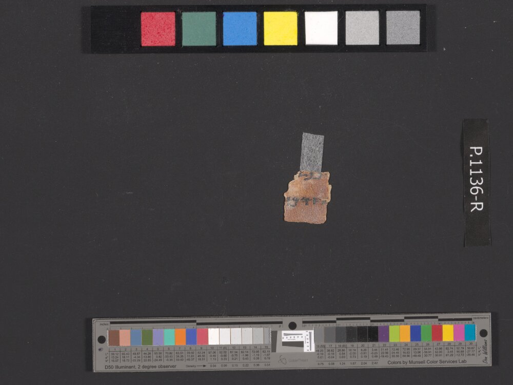 4QpaleoExodus m (Scan 8) showing Exodus 25:22 from Late Hasmonean Period (c. 100–25 BC) found in Qumran, Cave 4, currently housed at Rockefeller Museum, Jerusalem