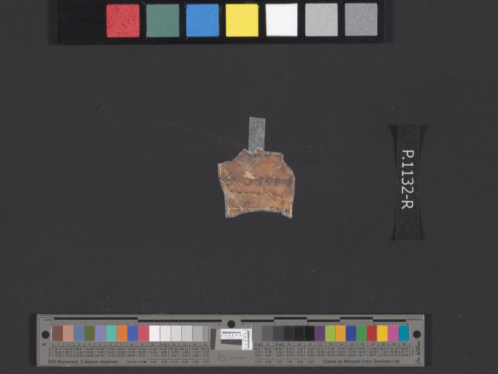 4QpaleoExodus m (Scan 11) showing Exodus 25:22 from Late Hasmonean Period (c. 100–25 BC) found in Qumran, Cave 4, currently housed at Rockefeller Museum, Jerusalem