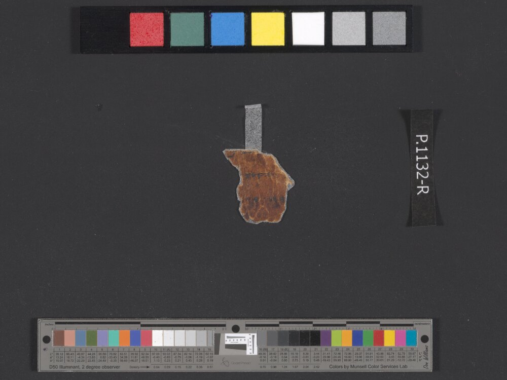 4QpaleoExodus m (Scan 1) showing Exodus 25:32 from Late Hasmonean Period (c. 100–25 BC) found in Qumran, Cave 4, currently housed at Rockefeller Museum, Jerusalem