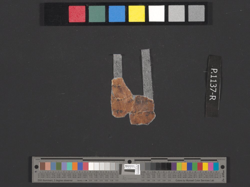 4QpaleoExodus m (Scan 7) showing Exodus 25:32 from Late Hasmonean Period (c. 100–25 BC) found in Qumran, Cave 4, currently housed at Rockefeller Museum, Jerusalem