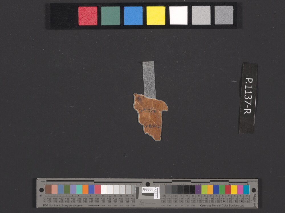 4QpaleoExodus m (Scan 8) showing Exodus 25:32 from Late Hasmonean Period (c. 100–25 BC) found in Qumran, Cave 4, currently housed at Rockefeller Museum, Jerusalem
