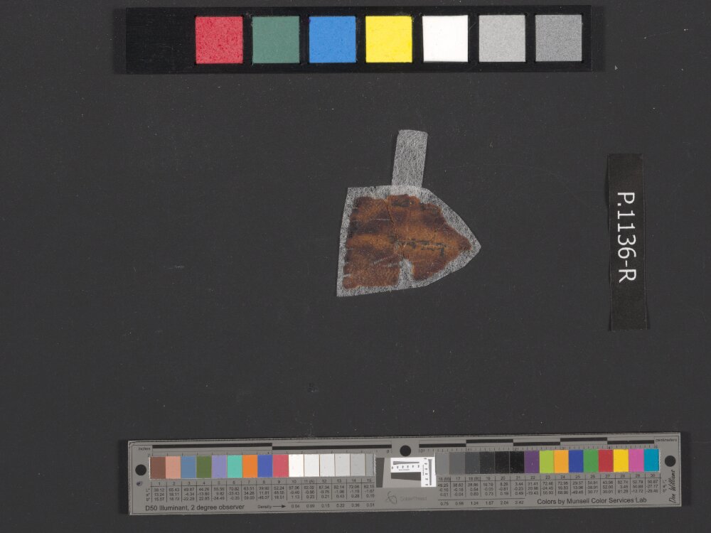 4QpaleoExodus m (Scan 9) showing Exodus 25:32 from Late Hasmonean Period (c. 100–25 BC) found in Qumran, Cave 4, currently housed at Rockefeller Museum, Jerusalem