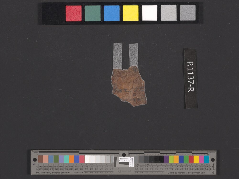 4QpaleoExodus m (Scan 1) showing Exodus 26:22 from Late Hasmonean Period (c. 100–25 BC) found in Qumran, Cave 4, currently housed at Rockefeller Museum, Jerusalem