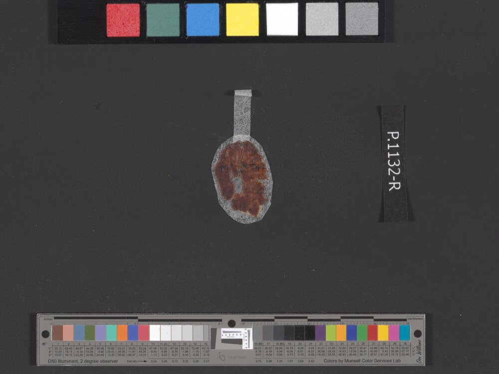 4QpaleoExodus m (Scan 3) showing Exodus 26:22 from Late Hasmonean Period (c. 100–25 BC) found in Qumran, Cave 4, currently housed at Rockefeller Museum, Jerusalem