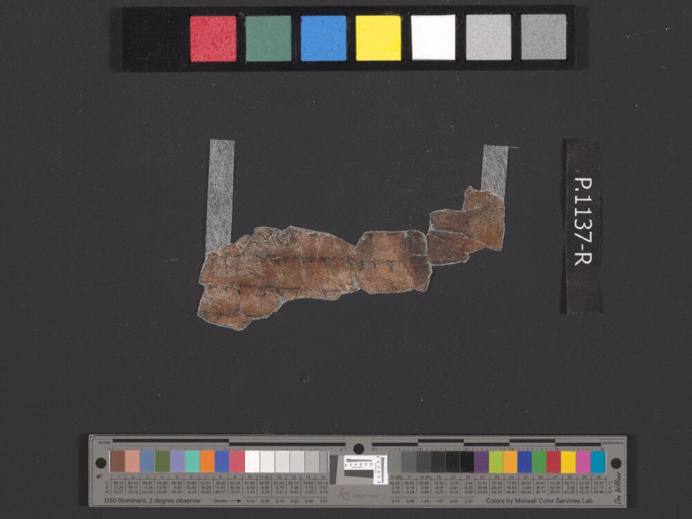 4QpaleoExodus m (Scan 5) showing Exodus 26:22 from Late Hasmonean Period (c. 100–25 BC) found in Qumran, Cave 4, currently housed at Rockefeller Museum, Jerusalem
