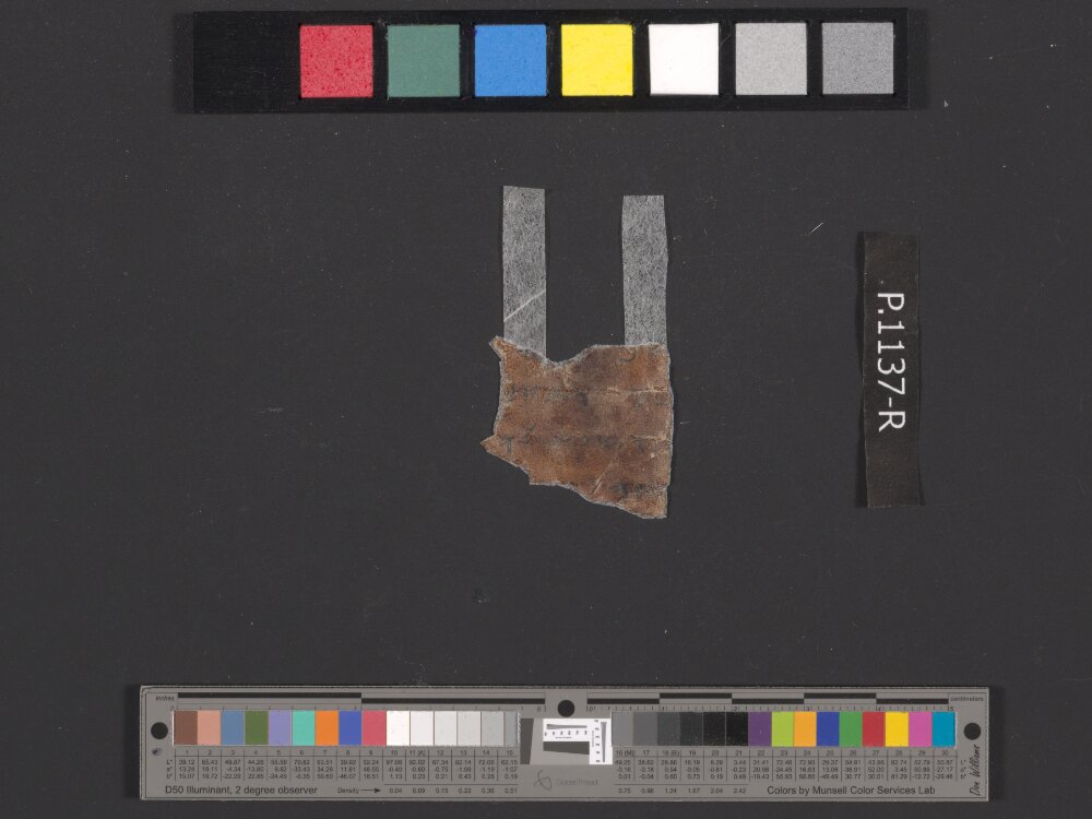 4QpaleoExodus m (Scan 7) showing Exodus 26:22 from Late Hasmonean Period (c. 100–25 BC) found in Qumran, Cave 4, currently housed at Rockefeller Museum, Jerusalem