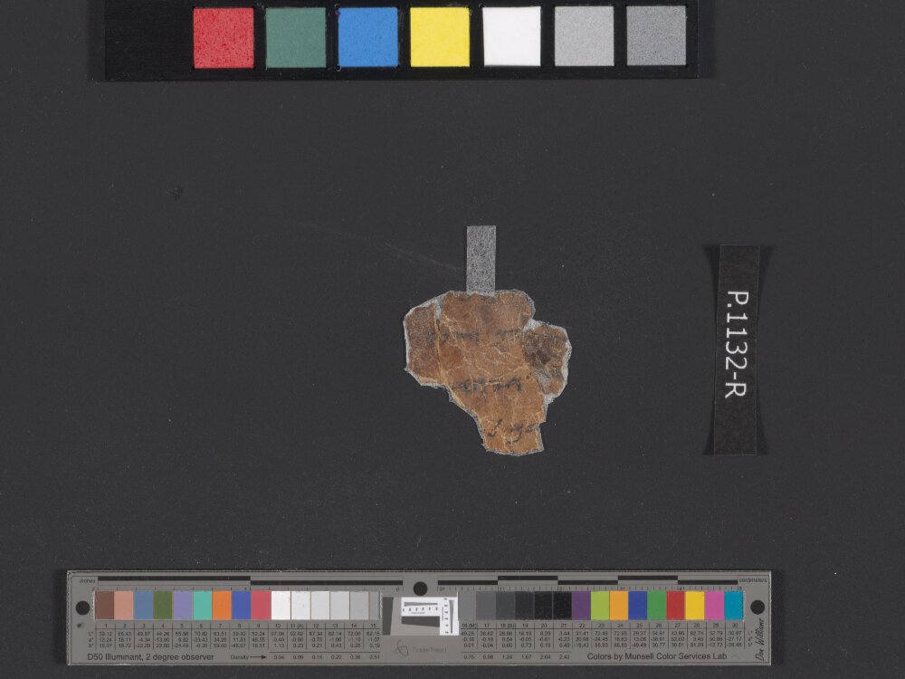 4QpaleoExodus m (Scan 8) showing Exodus 26:22 from Late Hasmonean Period (c. 100–25 BC) found in Qumran, Cave 4, currently housed at Rockefeller Museum, Jerusalem