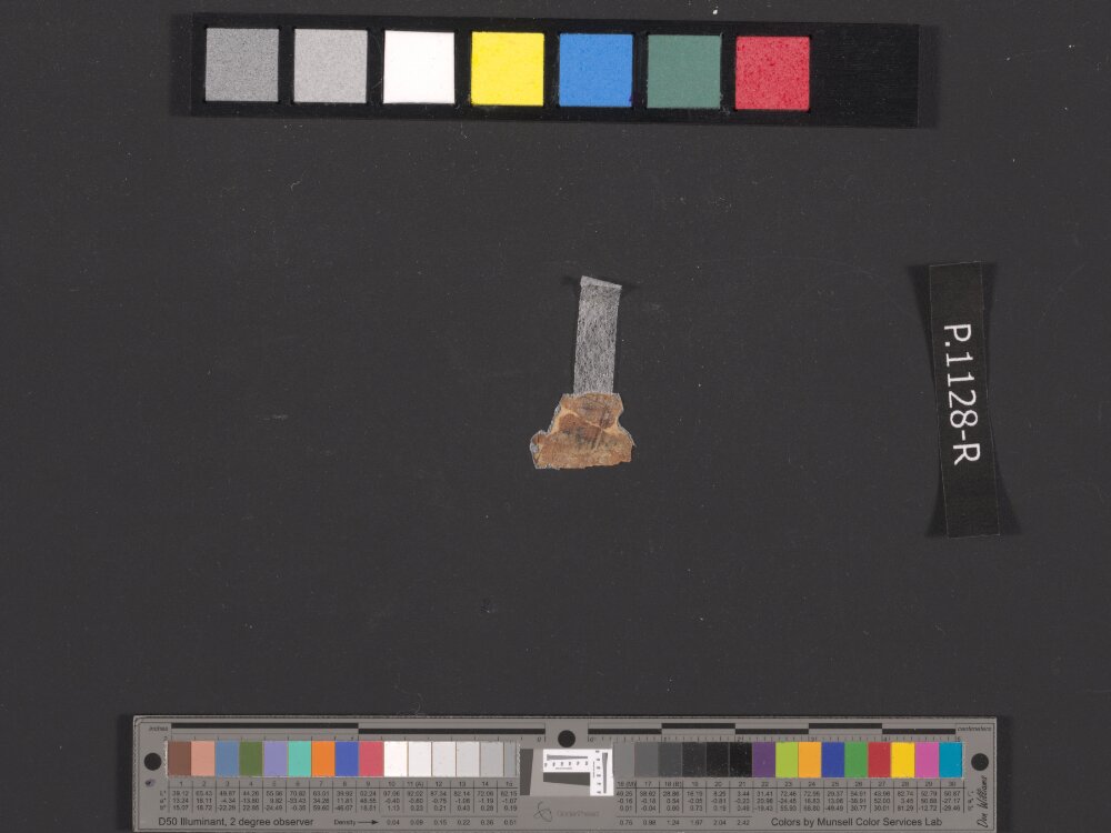 4QpaleoExodus m (Scan 11) showing Exodus 26:22 from Late Hasmonean Period (c. 100–25 BC) found in Qumran, Cave 4, currently housed at Rockefeller Museum, Jerusalem