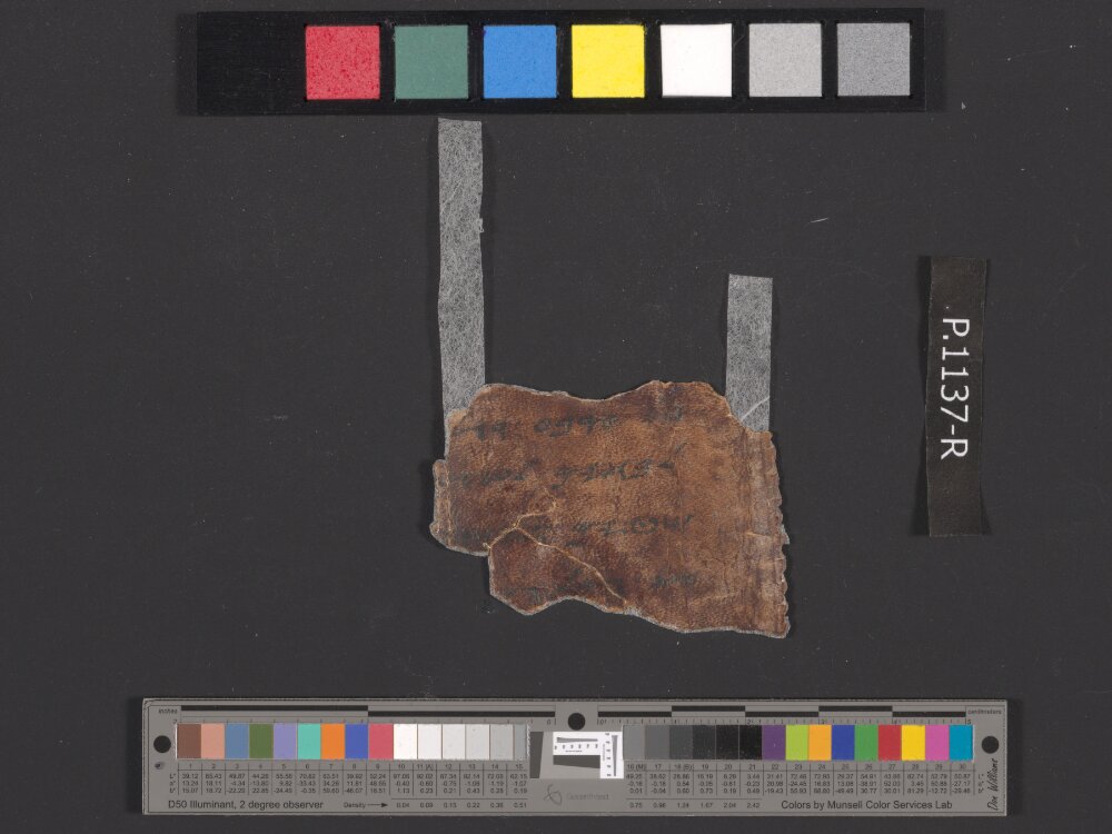 4QpaleoExodus m (Scan 12) showing Exodus 26:22 from Late Hasmonean Period (c. 100–25 BC) found in Qumran, Cave 4, currently housed at Rockefeller Museum, Jerusalem