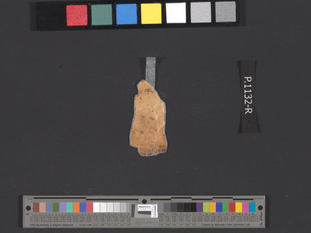 4QpaleoExodus m (Scan 13) showing Exodus 26:22 from Late Hasmonean Period (c. 100–25 BC) found in Qumran, Cave 4, currently housed at Rockefeller Museum, Jerusalem