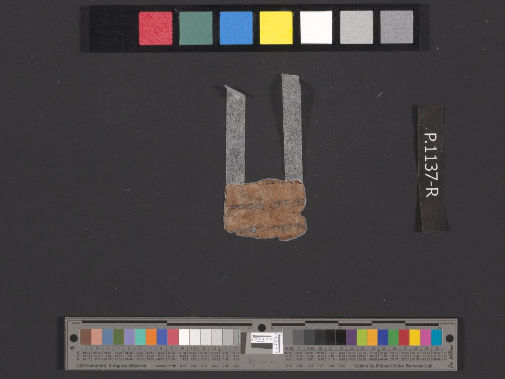 4QpaleoExodus m (Scan 14) showing Exodus 26:22 from Late Hasmonean Period (c. 100–25 BC) found in Qumran, Cave 4, currently housed at Rockefeller Museum, Jerusalem