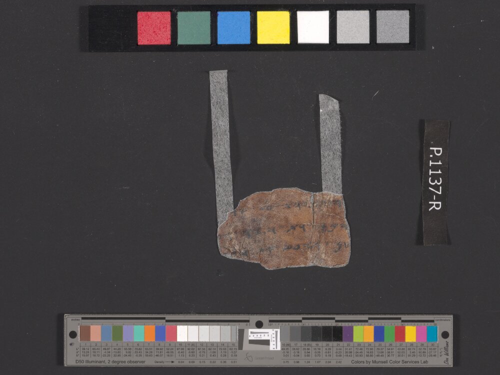 4QpaleoExodus m (Scan 16) showing Exodus 26:22 from Late Hasmonean Period (c. 100–25 BC) found in Qumran, Cave 4, currently housed at Rockefeller Museum, Jerusalem