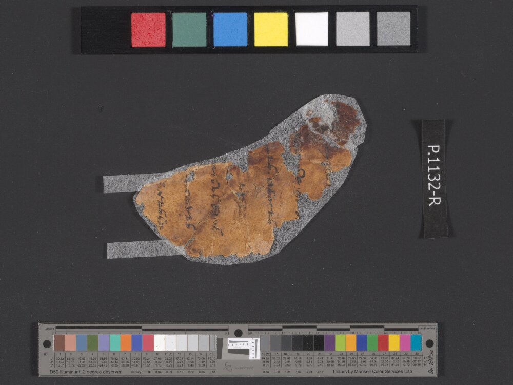 4QpaleoExodus m (Scan 3) showing Exodus 27:9 from Late Hasmonean Period (c. 100–25 BC) found in Qumran, Cave 4, currently housed at Rockefeller Museum, Jerusalem