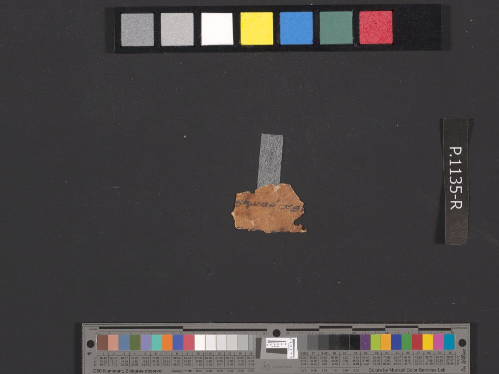 4QpaleoExodus m (Scan 2) showing Exodus 31:2 from Late Hasmonean Period (c. 100–25 BC) found in Qumran, Cave 4, currently housed at Rockefeller Museum, Jerusalem