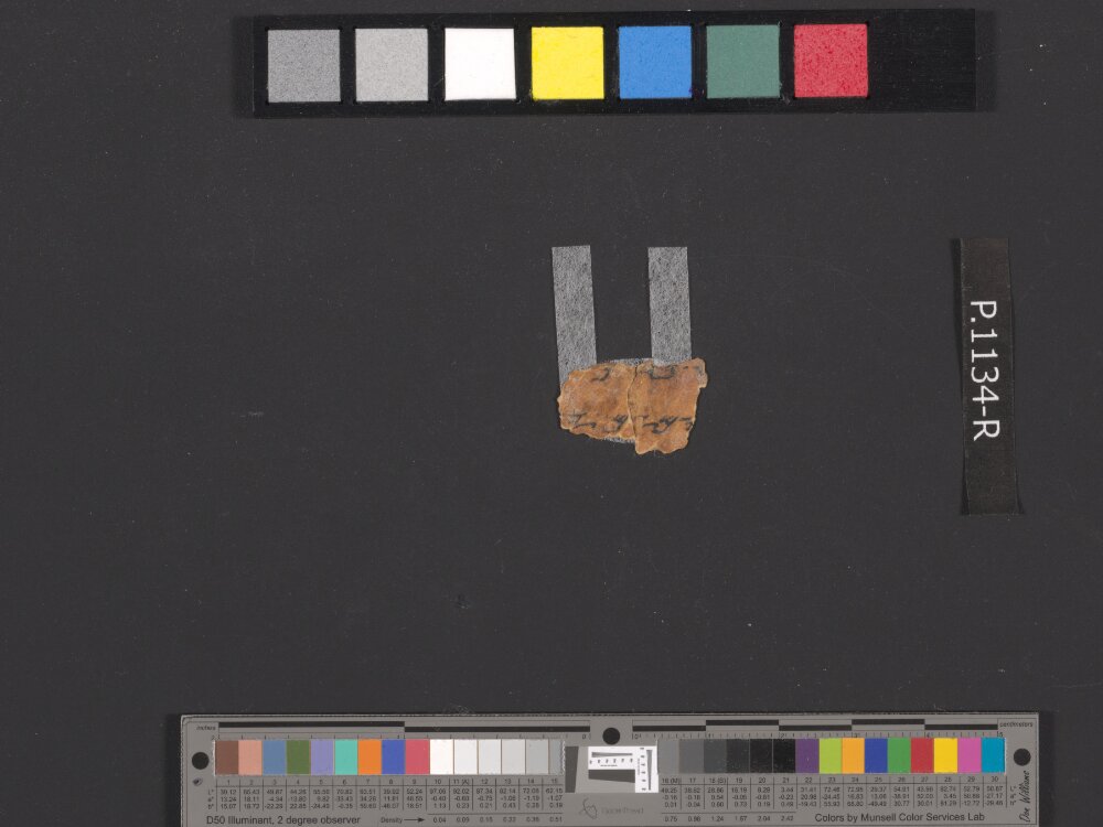 4QpaleoExodus m (Scan 1) showing Exodus 32:2 from Late Hasmonean Period (c. 100–25 BC) found in Qumran, Cave 4, currently housed at Rockefeller Museum, Jerusalem