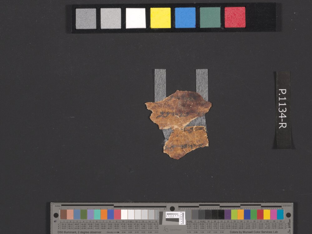 4QpaleoExodus m (Scan 2) showing Exodus 32:2 from Late Hasmonean Period (c. 100–25 BC) found in Qumran, Cave 4, currently housed at Rockefeller Museum, Jerusalem