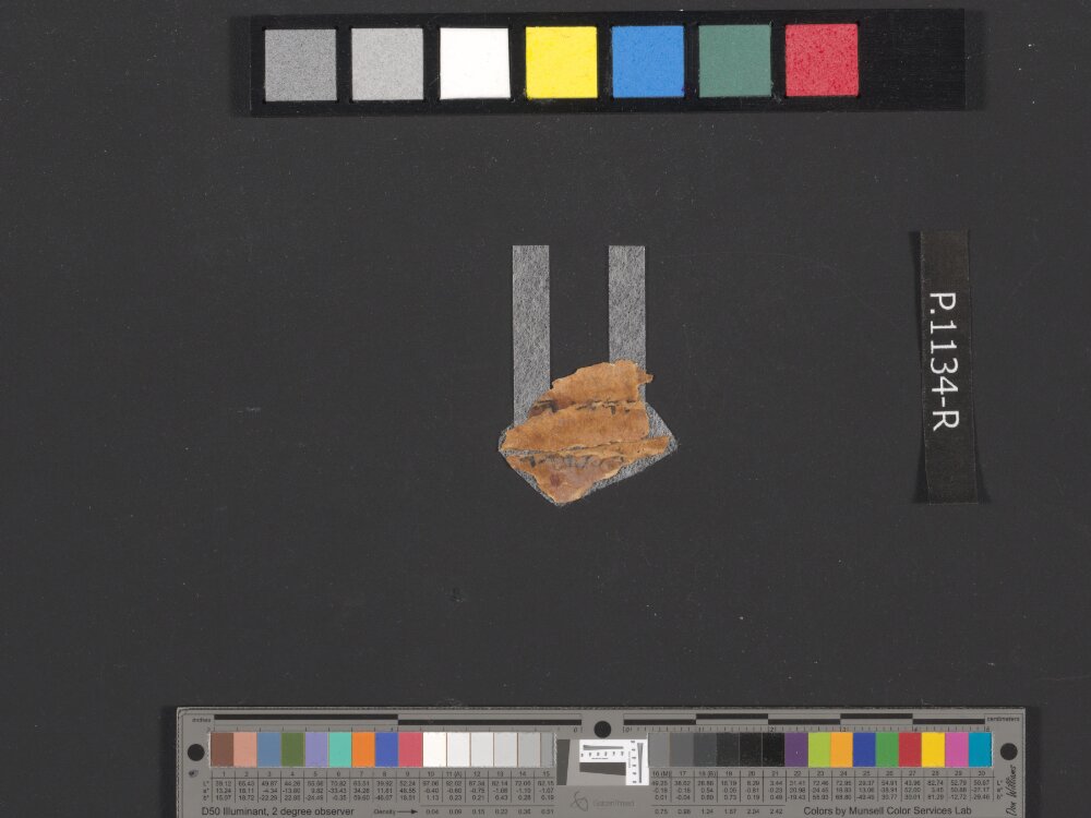 4QpaleoExodus m (Scan 4) showing Exodus 32:2 from Late Hasmonean Period (c. 100–25 BC) found in Qumran, Cave 4, currently housed at Rockefeller Museum, Jerusalem