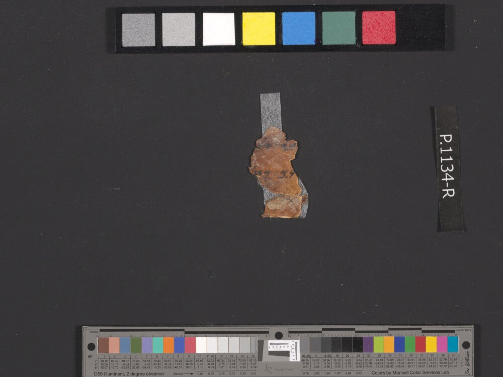 4QpaleoExodus m (Scan 5) showing Exodus 32:2 from Late Hasmonean Period (c. 100–25 BC) found in Qumran, Cave 4, currently housed at Rockefeller Museum, Jerusalem