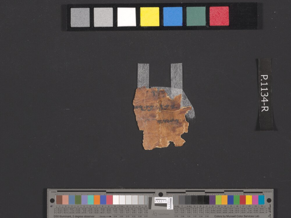 4QpaleoExodus m (Scan 7) showing Exodus 32:2 from Late Hasmonean Period (c. 100–25 BC) found in Qumran, Cave 4, currently housed at Rockefeller Museum, Jerusalem