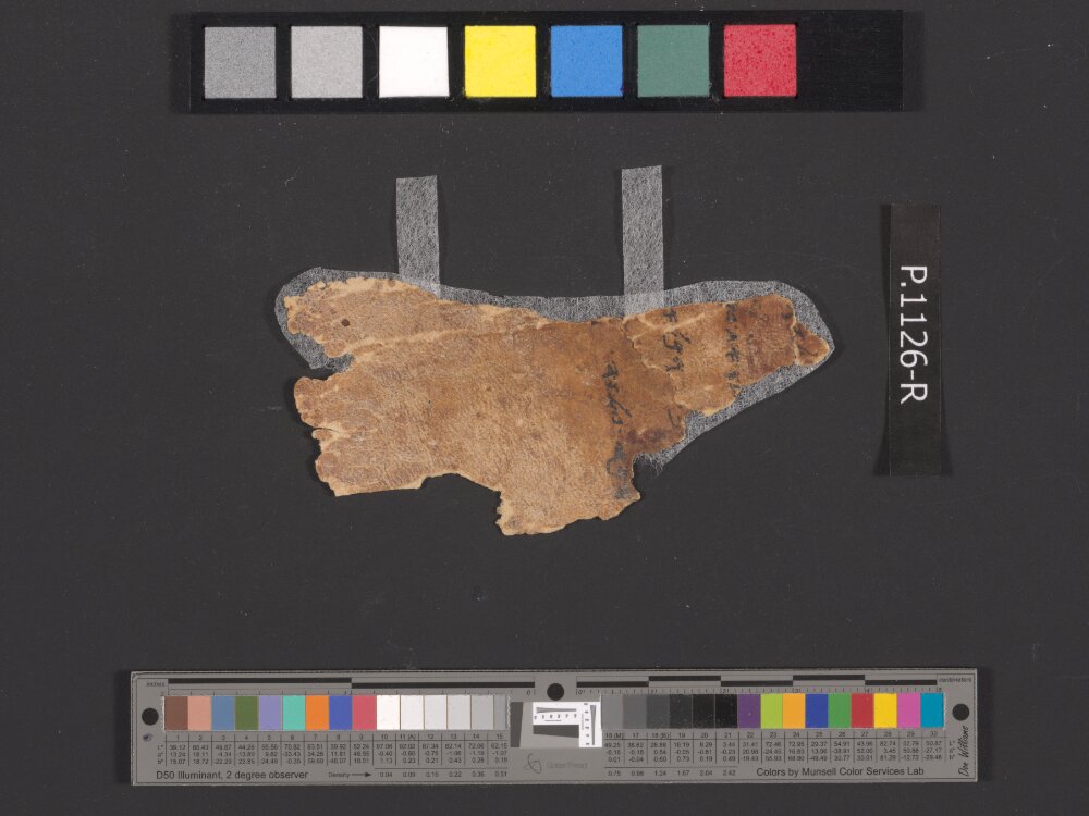 4QpaleoExodus m (Scan 6) showing Exodus 8:16 from Late Hasmonean Period (c. 100–25 BC) found in Qumran, Cave 4, currently housed at Rockefeller Museum, Jerusalem