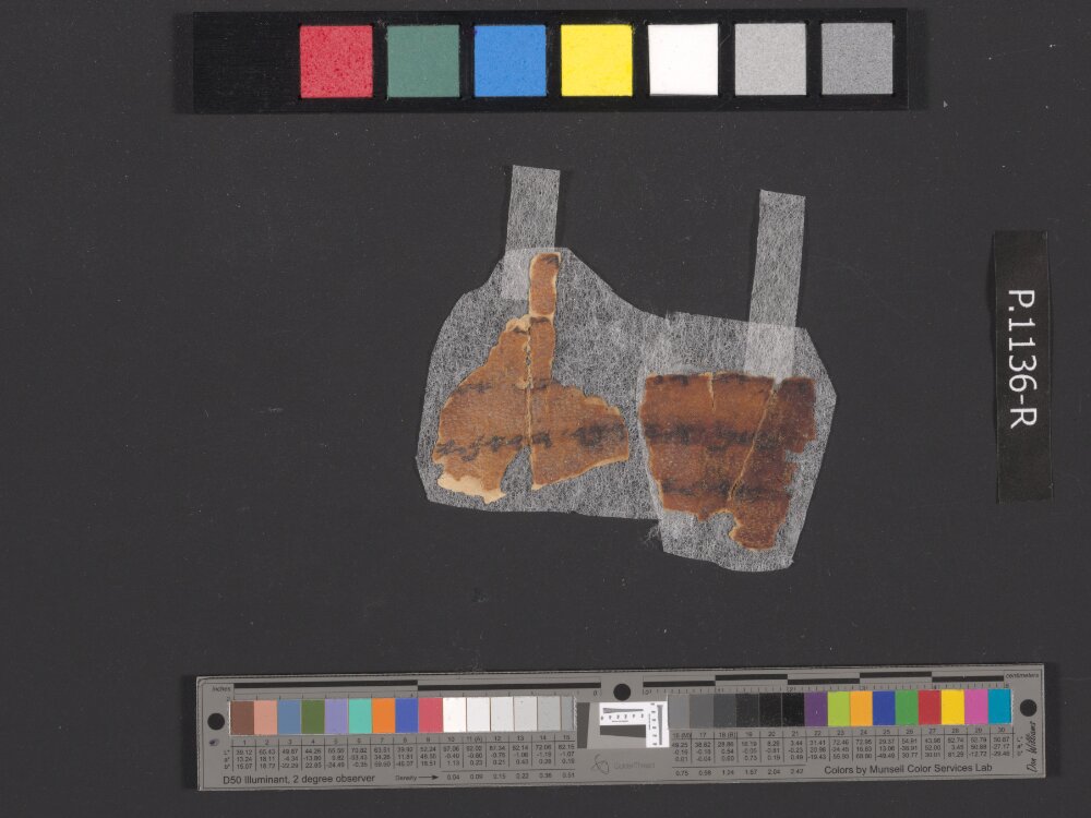 4QpaleoExodus m (Scan 2) showing Exodus 33:21 from Late Hasmonean Period (c. 100–25 BC) found in Qumran, Cave 4, currently housed at Rockefeller Museum, Jerusalem