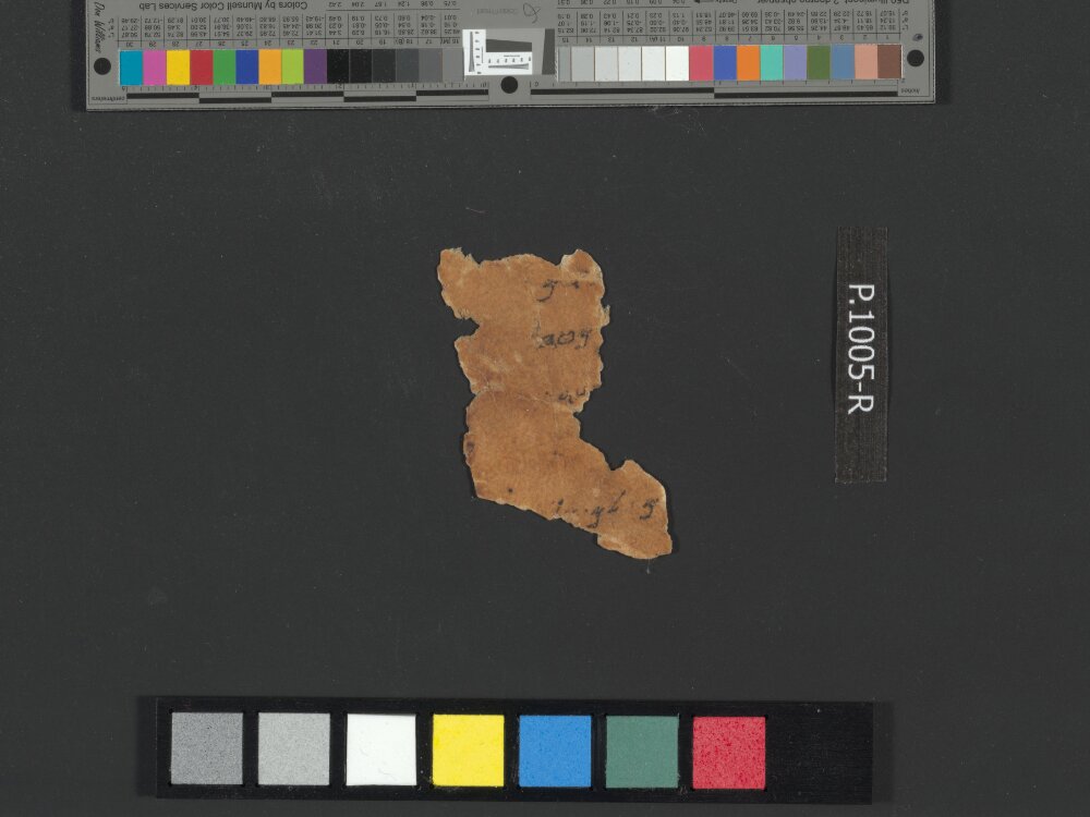 4QpaleoExodus m (Scan 7) showing Exodus 10:21 from Late Hasmonean Period (c. 100–25 BC) found in Qumran, Cave 4, currently housed at Rockefeller Museum, Jerusalem