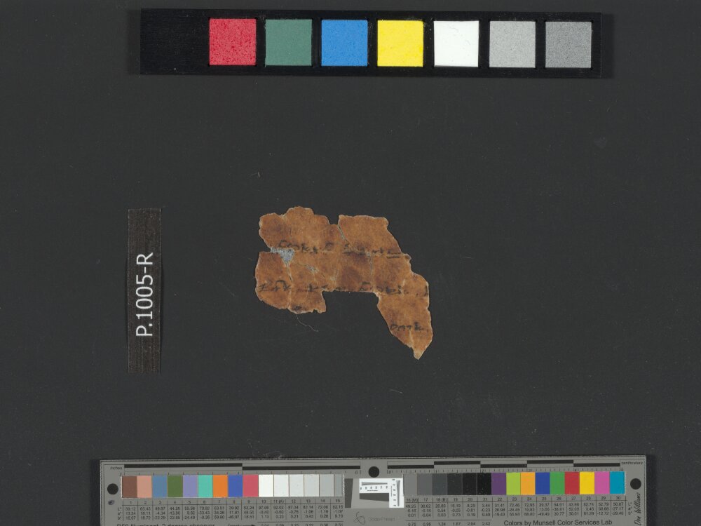 4QpaleoExodus m (Scan 14) showing Exodus 10:21 from Late Hasmonean Period (c. 100–25 BC) found in Qumran, Cave 4, currently housed at Rockefeller Museum, Jerusalem