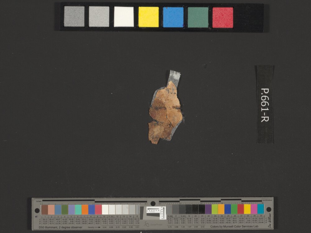 4QpaleoExodus m (Scan 1) showing Exodus 12:2 from Late Hasmonean Period (c. 100–25 BC) found in Qumran, Cave 4, currently housed at Rockefeller Museum, Jerusalem