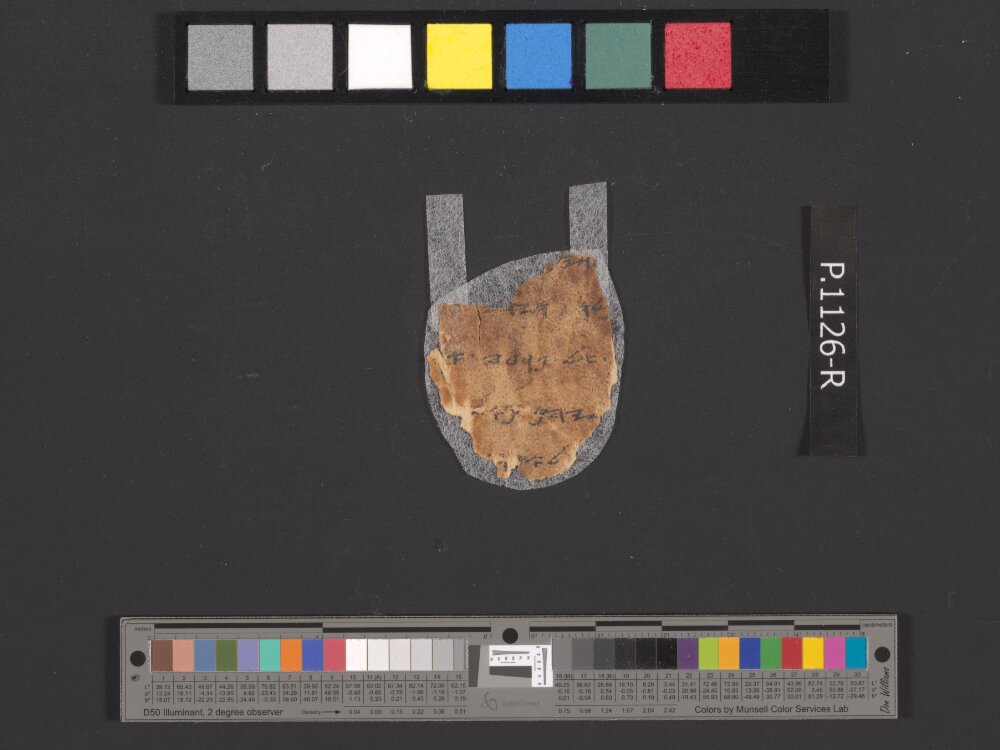 4QpaleoExodus m (Scan 8) showing Exodus 12:2 from Late Hasmonean Period (c. 100–25 BC) found in Qumran, Cave 4, currently housed at Rockefeller Museum, Jerusalem