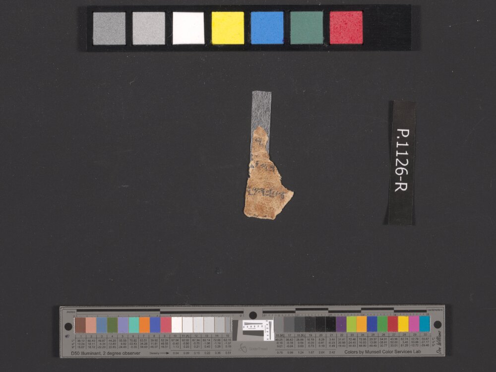 4QpaleoExodus m (Scan 9) showing Exodus 12:2 from Late Hasmonean Period (c. 100–25 BC) found in Qumran, Cave 4, currently housed at Rockefeller Museum, Jerusalem