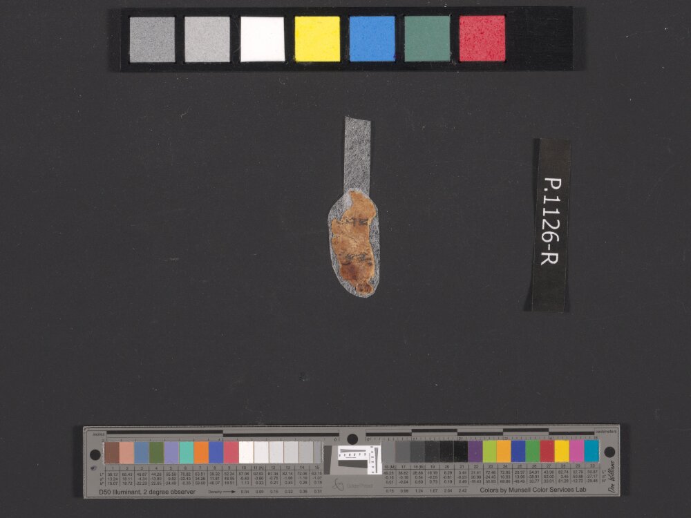 4QpaleoExodus m (Scan 12) showing Exodus 12:2 from Late Hasmonean Period (c. 100–25 BC) found in Qumran, Cave 4, currently housed at Rockefeller Museum, Jerusalem