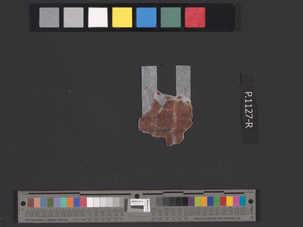 4QpaleoExodus m (Scan 1) showing Exodus 12:21 from Late Hasmonean Period (c. 100–25 BC) found in Qumran, Cave 4, currently housed at Rockefeller Museum, Jerusalem