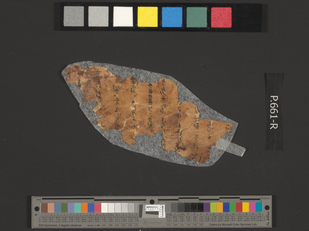 4QpaleoExodus m (Scan 2) showing Exodus 12:21 from Late Hasmonean Period (c. 100–25 BC) found in Qumran, Cave 4, currently housed at Rockefeller Museum, Jerusalem