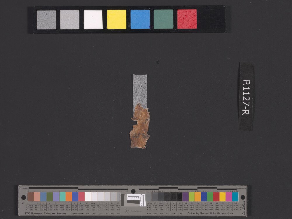 4QpaleoExodus m (Scan 4) showing Exodus 12:21 from Late Hasmonean Period (c. 100–25 BC) found in Qumran, Cave 4, currently housed at Rockefeller Museum, Jerusalem