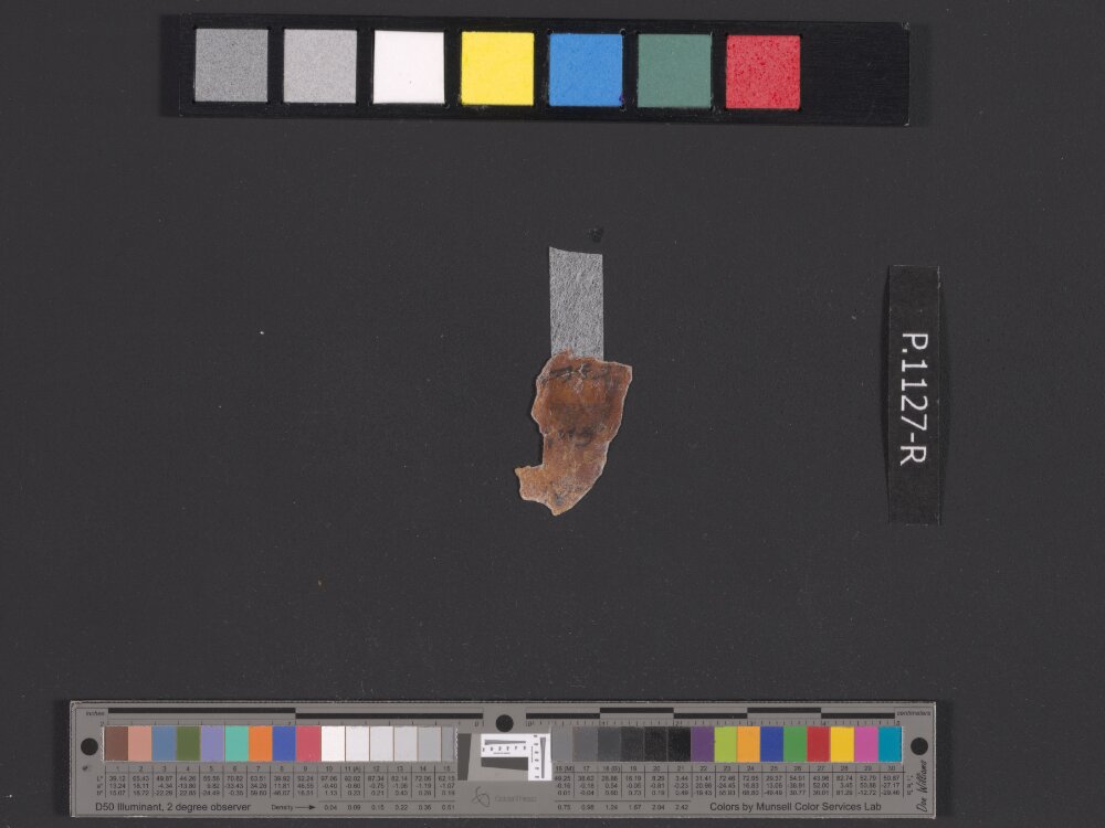 4QpaleoExodus m (Scan 5) showing Exodus 12:21 from Late Hasmonean Period (c. 100–25 BC) found in Qumran, Cave 4, currently housed at Rockefeller Museum, Jerusalem