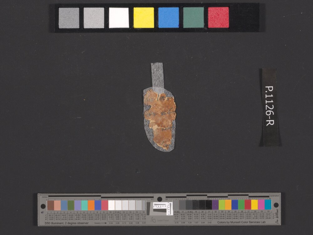 4QpaleoExodus m (Scan 11) showing Exodus 12:21 from Late Hasmonean Period (c. 100–25 BC) found in Qumran, Cave 4, currently housed at Rockefeller Museum, Jerusalem