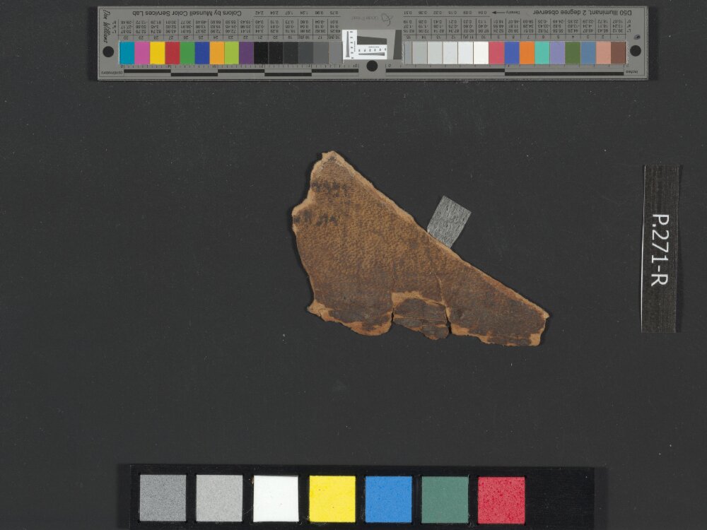 4QLeviticus-Numbers a showing Leviticus 13:32 from Mid-to-Late 2nd Century BC found in Qumran, Cave 4, currently housed at Rockefeller Museum, Jerusalem