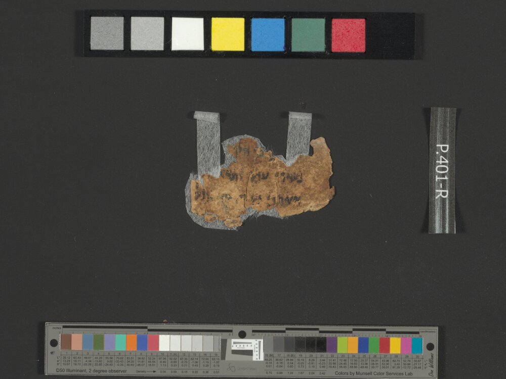 4QLeviticus-Numbers a showing Numbers 22:24 from Mid-to-Late 2nd Century BC found in Qumran, Cave 4, currently housed at Rockefeller Museum, Jerusalem