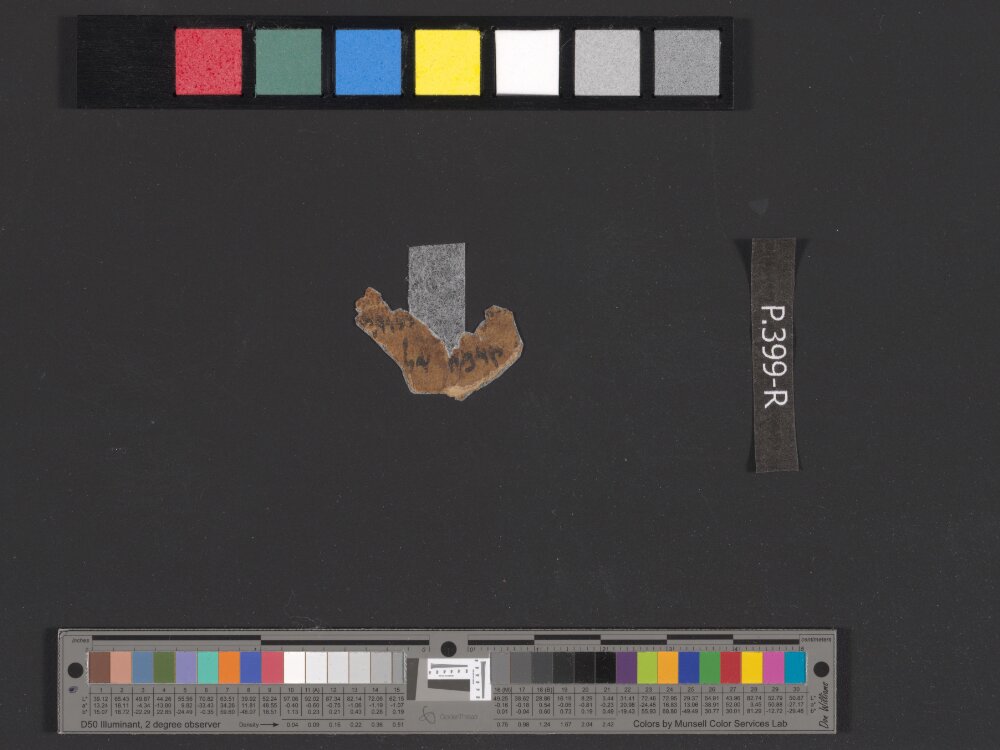 4QLeviticus-Numbers a showing Numbers 35:4 from Mid-to-Late 2nd Century BC found in Qumran, Cave 4, currently housed at Rockefeller Museum, Jerusalem