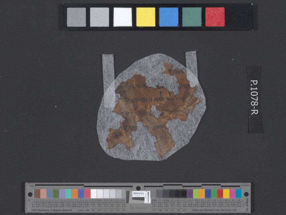 4QLeviticus b showing Leviticus 23:18 from Late 2nd Century BC – Mid-1st Century BC found in Qumran, Cave 4, currently housed at Rockefeller Museum, Jerusalem