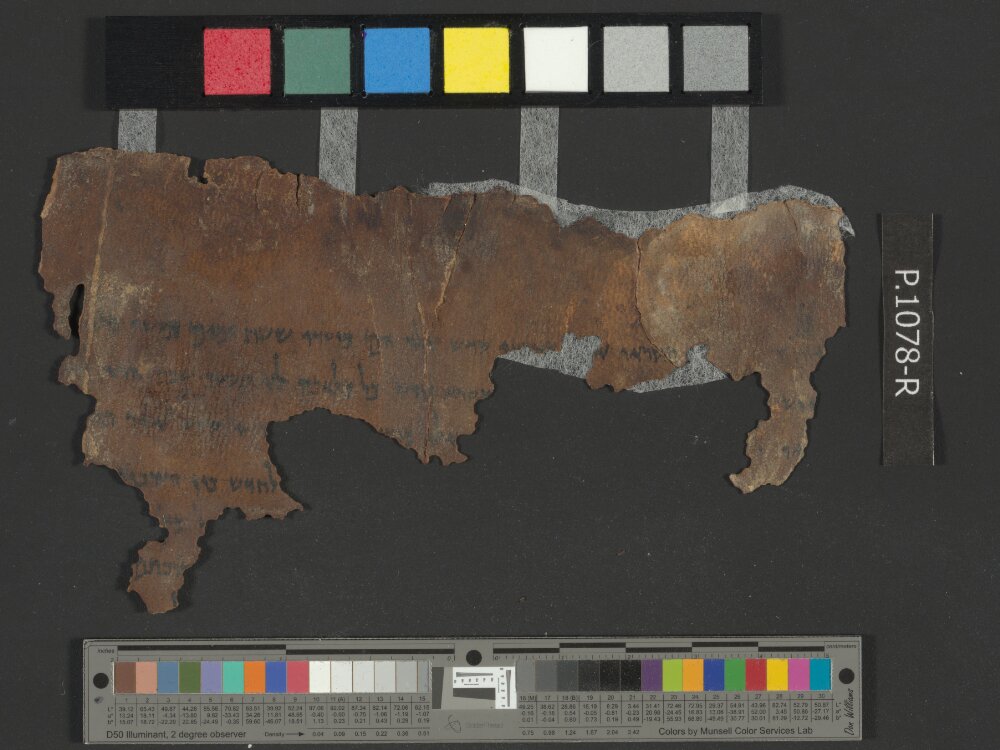 4QLeviticus b showing Leviticus 23:10 from Late 2nd Century BC – Mid-1st Century BC found in Qumran, Cave 4, currently housed at Rockefeller Museum, Jerusalem