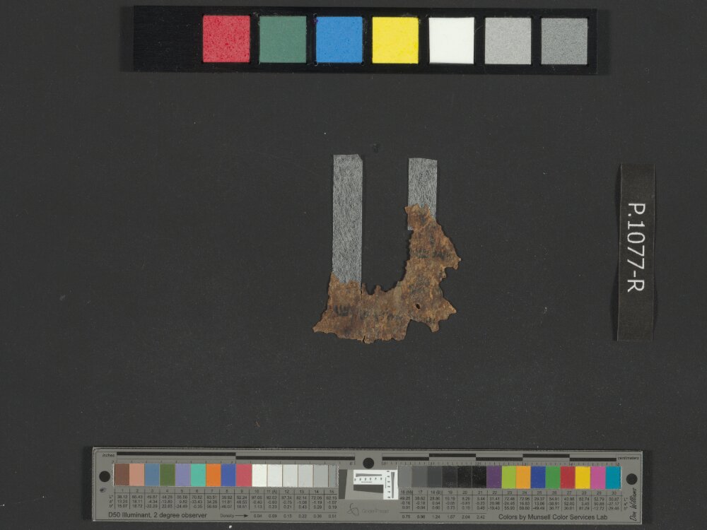 4QLeviticus b showing Leviticus 22:2 from Late 2nd Century BC – Mid-1st Century BC found in Qumran, Cave 4, currently housed at Rockefeller Museum, Jerusalem