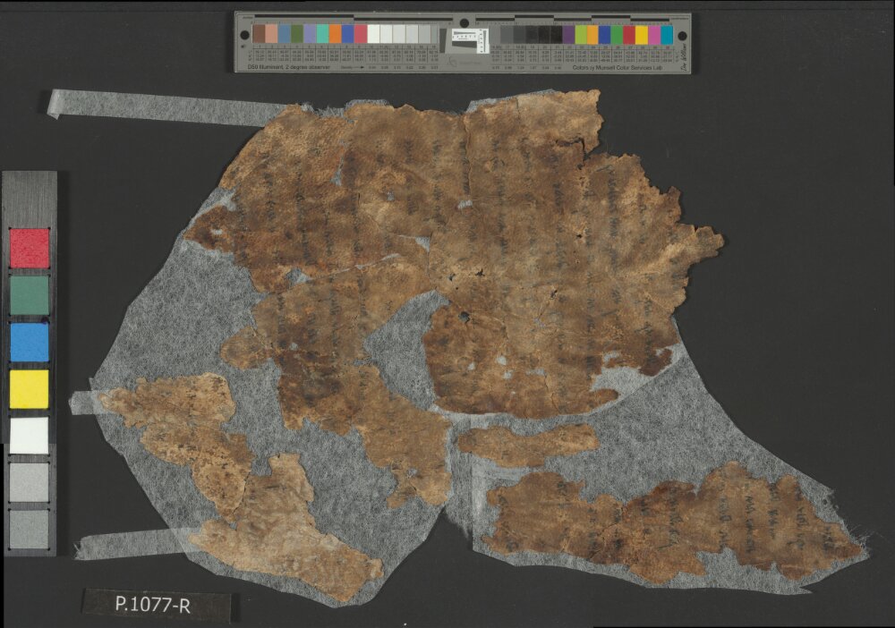 4QLeviticus b showing Leviticus 22:3 from Late 2nd Century BC – Mid-1st Century BC found in Qumran, Cave 4, currently housed at Rockefeller Museum, Jerusalem
