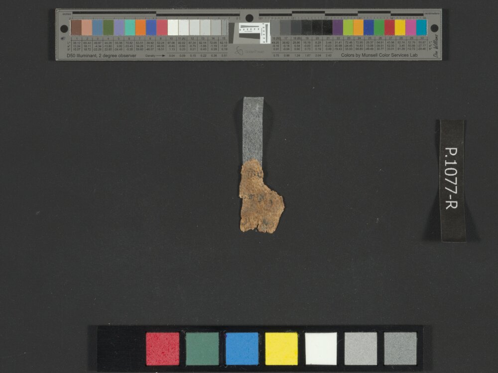 4QLeviticus b showing Leviticus 22:6 from Late 2nd Century BC – Mid-1st Century BC found in Qumran, Cave 4, currently housed at Rockefeller Museum, Jerusalem